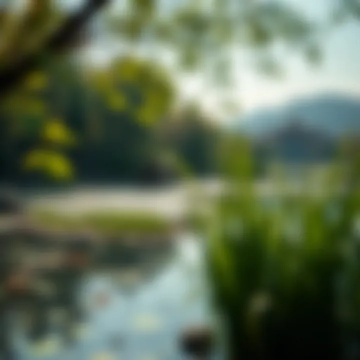 Magnificent Pond 코인에 대한 종합적 탐구