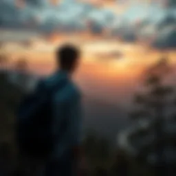 Concept of financial independence illustrated through a serene landscape