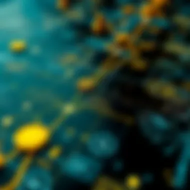 Roadmap for Cryptocurrency Investment Strategies Investment strategy roadmap