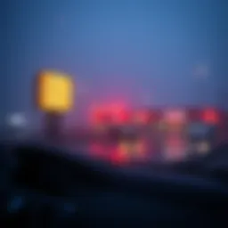 소울바운드 토큰: 개념, 활용 및 미래 Introduction