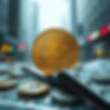 Understanding the Exchange Rate Dynamics