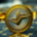 WSM Coin Concept and Functionality Overview