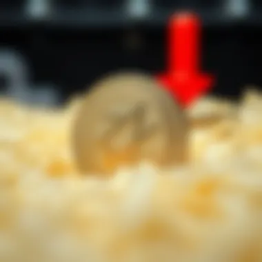 Recent innovations and real-world applications of zk-rollup in the crypto space.